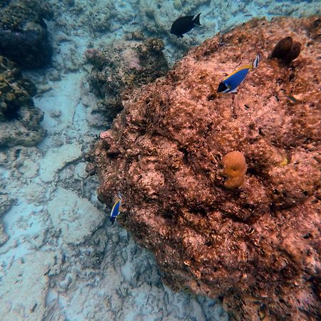 Moodhumaa Inn Guraidhoo  Eksteriør bilde