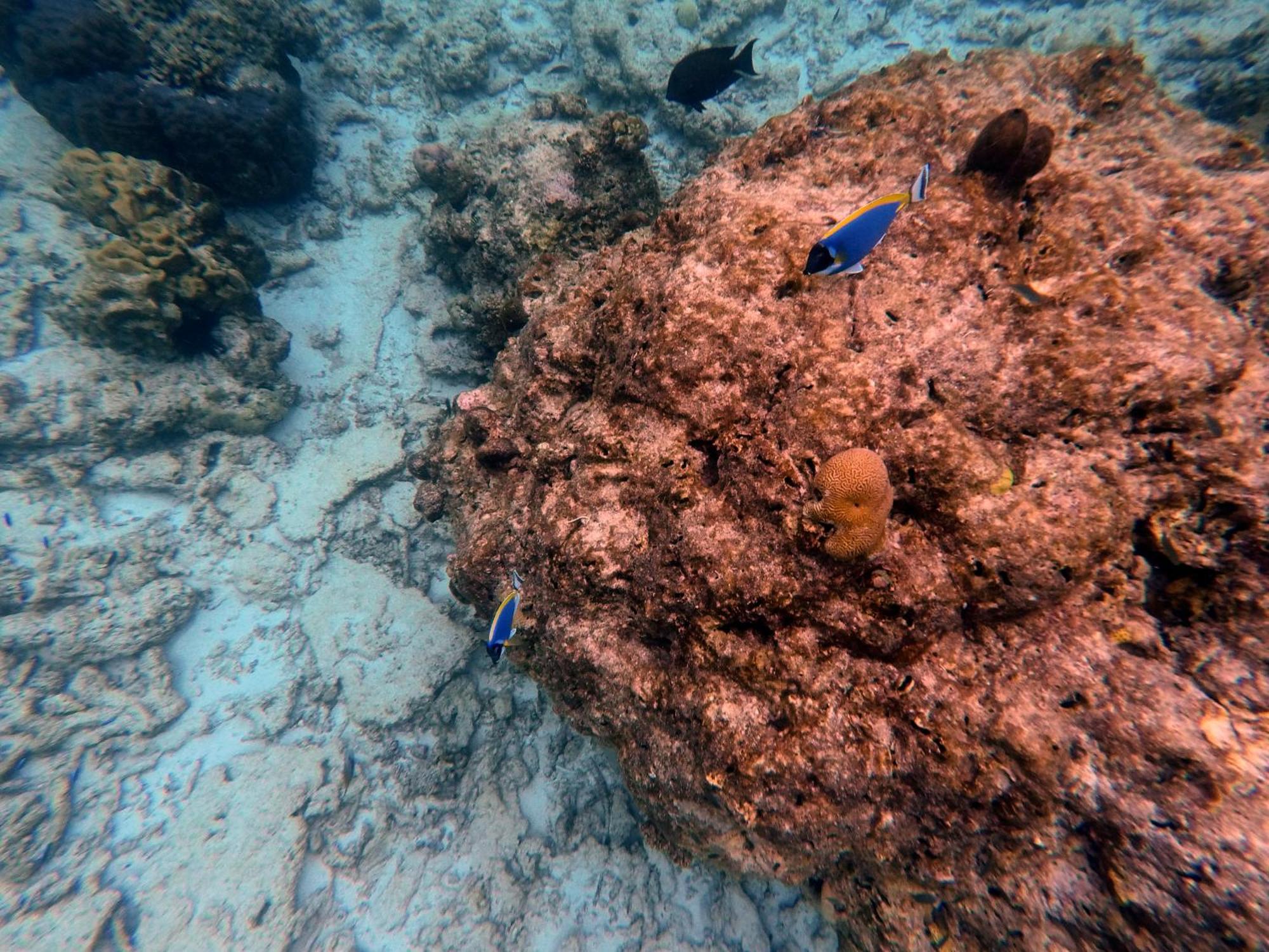 Moodhumaa Inn Guraidhoo  Eksteriør bilde