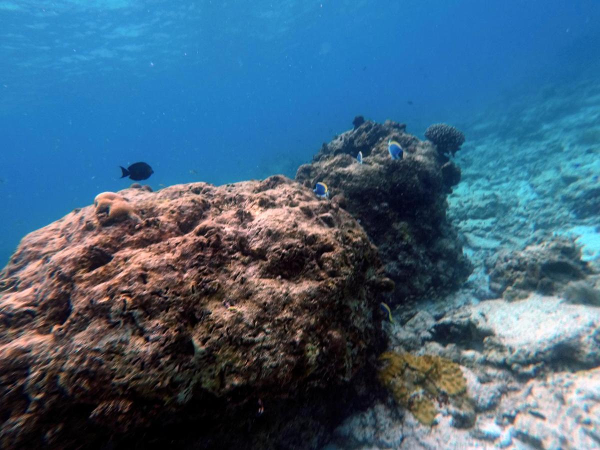 Moodhumaa Inn Guraidhoo  Eksteriør bilde