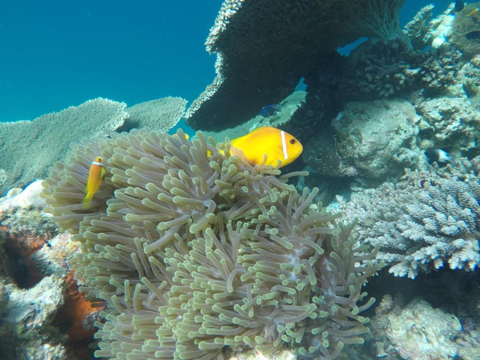 Moodhumaa Inn Guraidhoo  Eksteriør bilde
