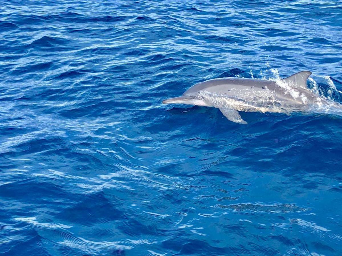 Moodhumaa Inn Guraidhoo  Eksteriør bilde