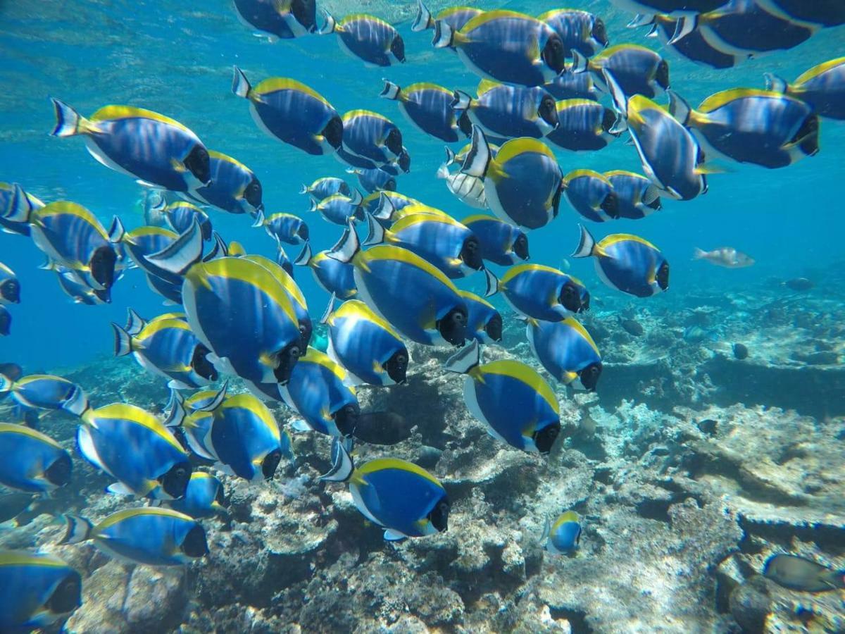Moodhumaa Inn Guraidhoo  Eksteriør bilde