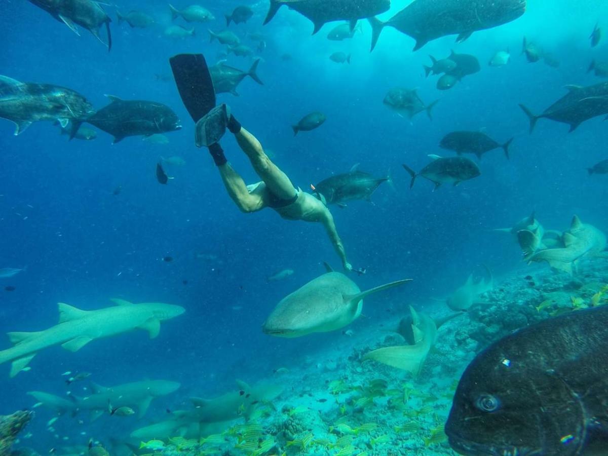 Moodhumaa Inn Guraidhoo  Eksteriør bilde